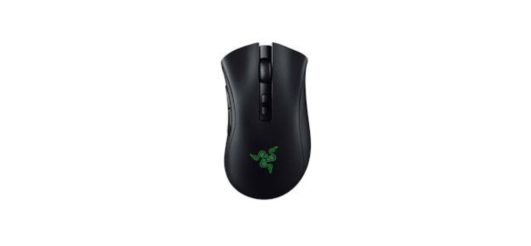 Razer DeathAdder v2 Pro Wireless Gaming Mouse